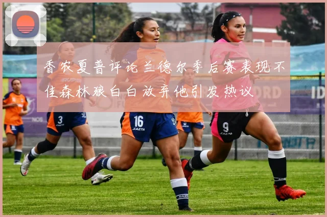 香农夏普评论兰德尔季后赛表现不佳森林狼白白放弃他引发热议
