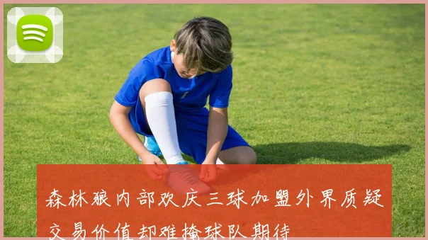 森林狼内部欢庆三球加盟外界质疑交易价值却难掩球队期待
